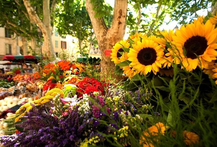 Marchés aux fleurs 3